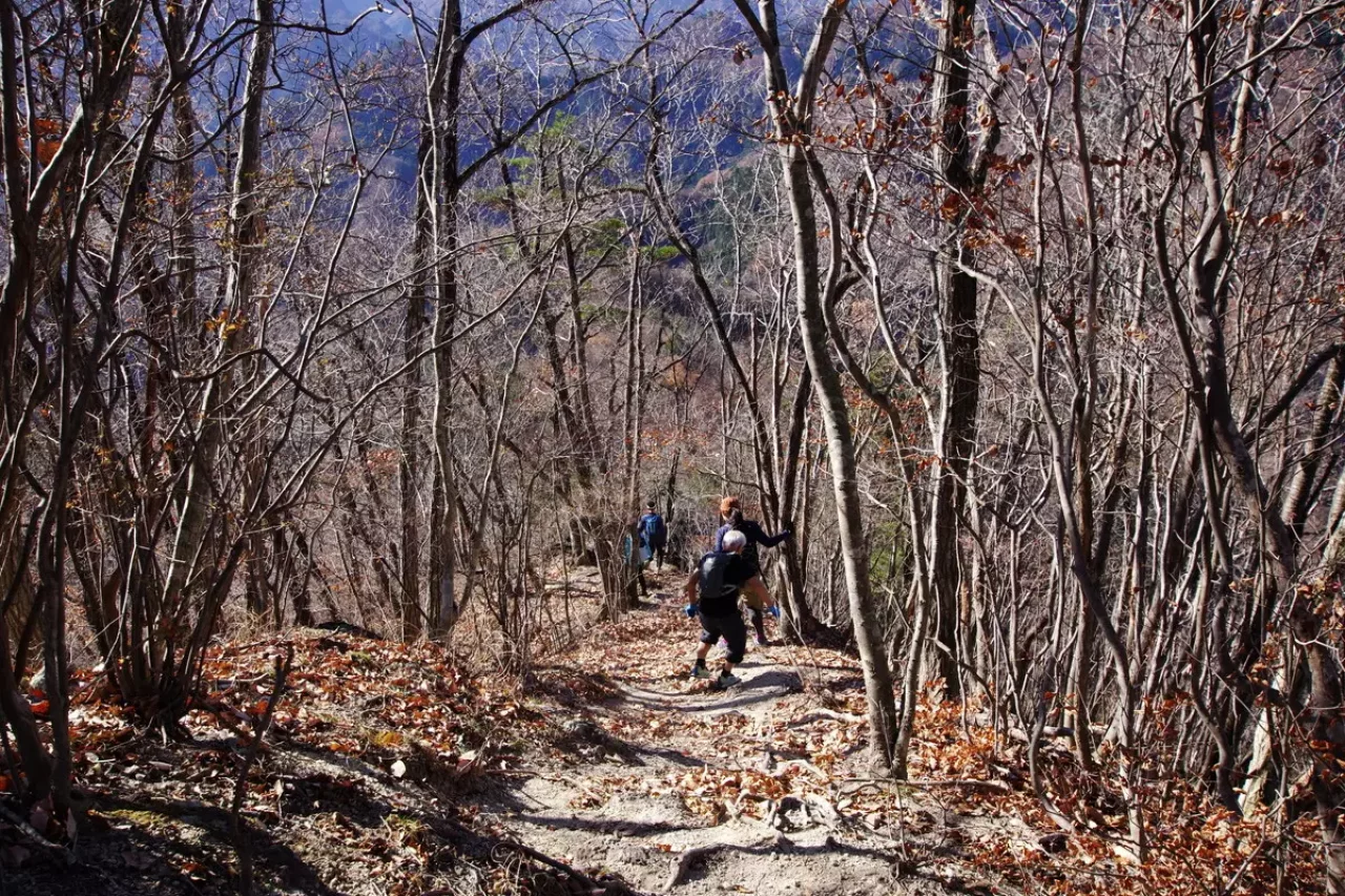 観音岩と見晴台(御嶽神社)までの登山道