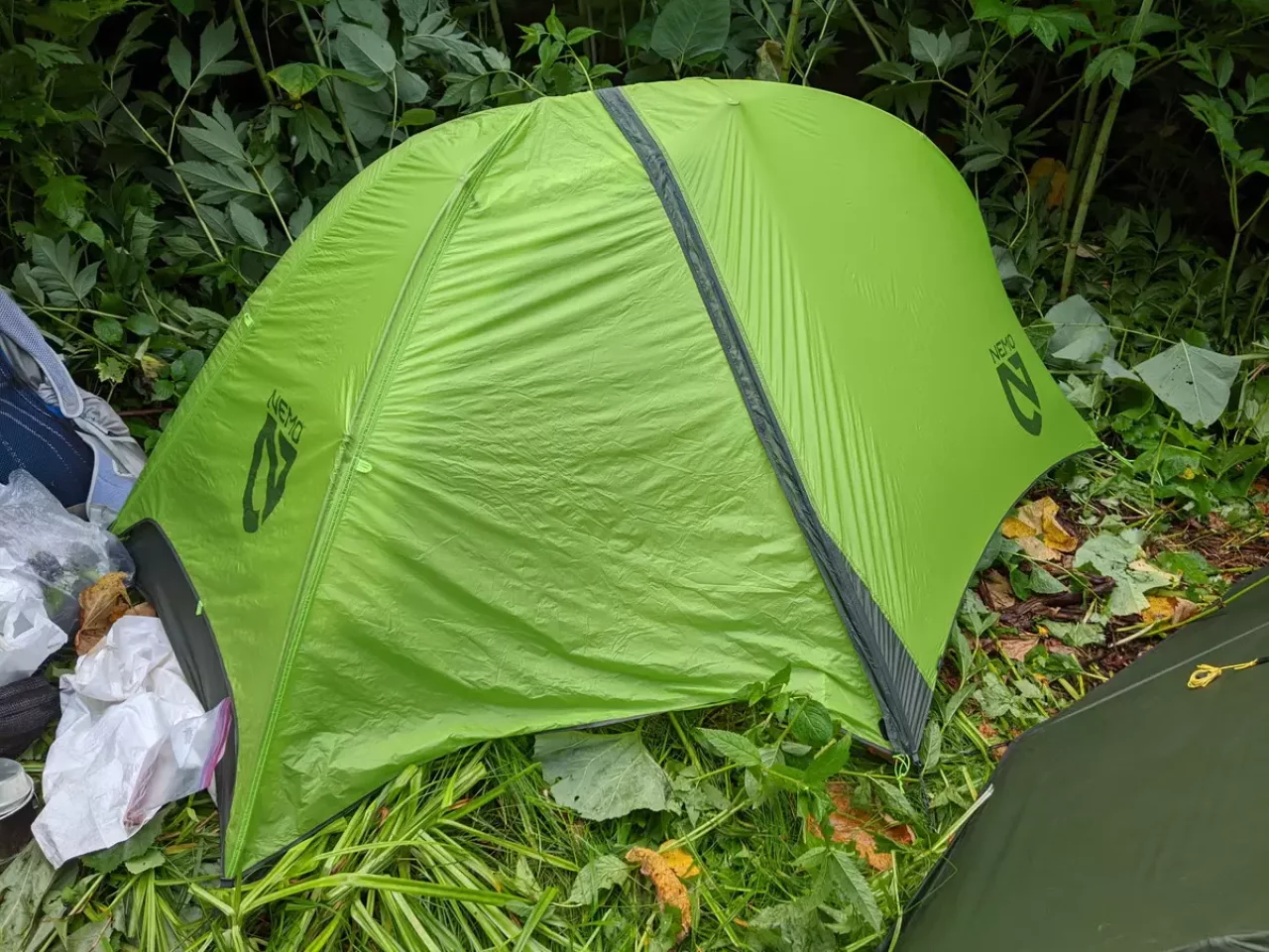 NEMOホーネットストーム 1P完成