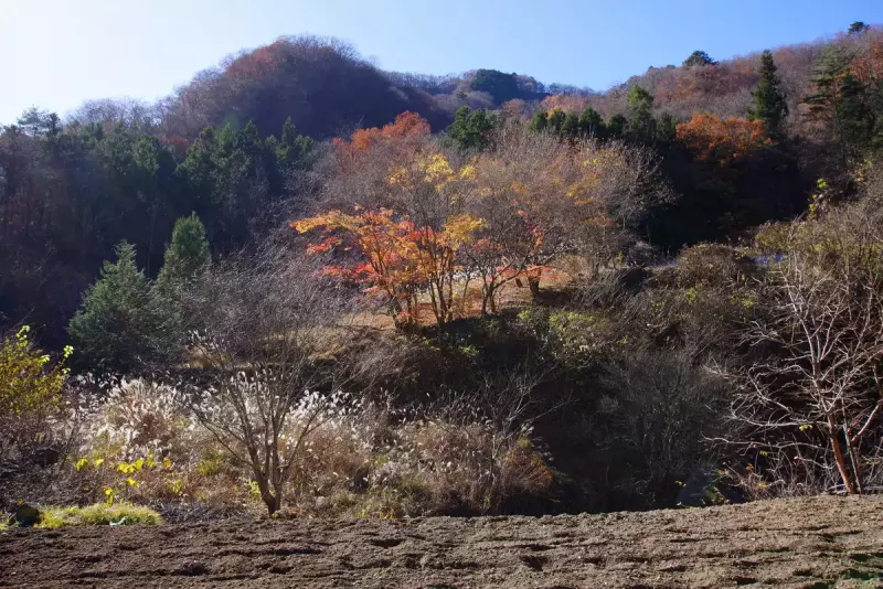 登山終わり里山に降りて田園風景中を歩む2