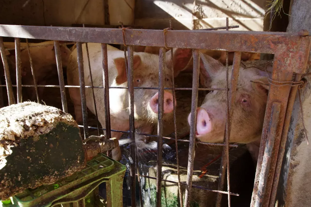 登山終わり里山に降りて田園風景中を歩む4