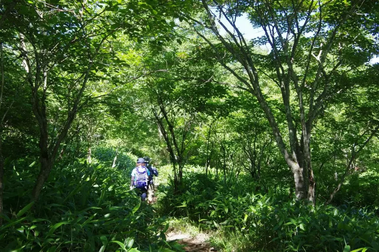 野反湖ハイキング周遊コース