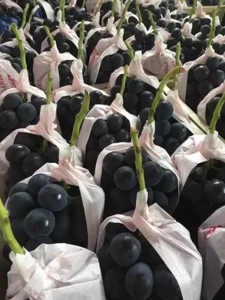 甲府の果物