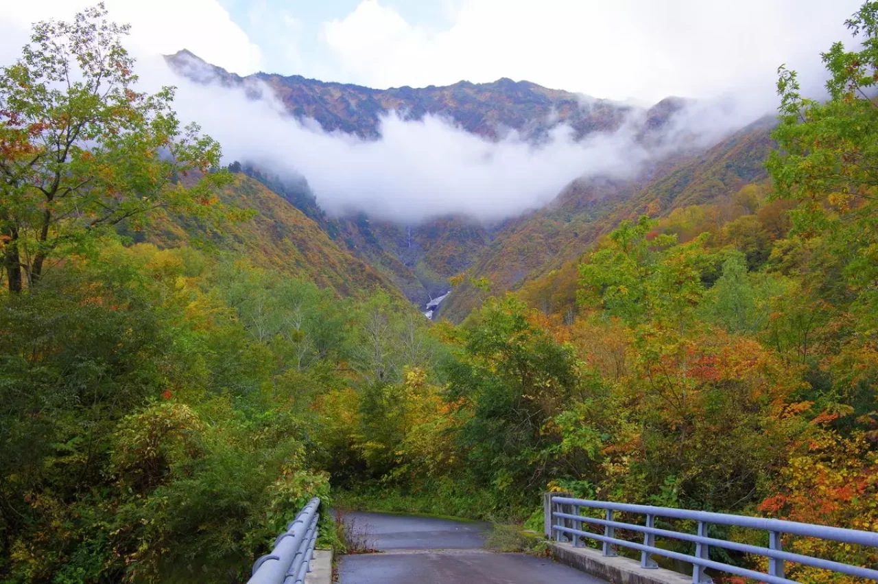 中荒沢・万年雪と紅葉登山1