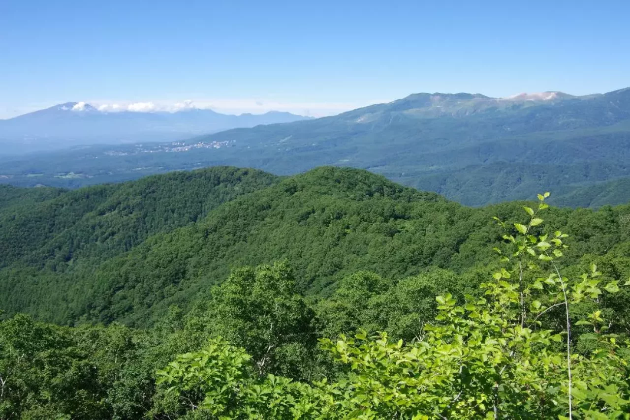 野反湖ハイキング周遊コース