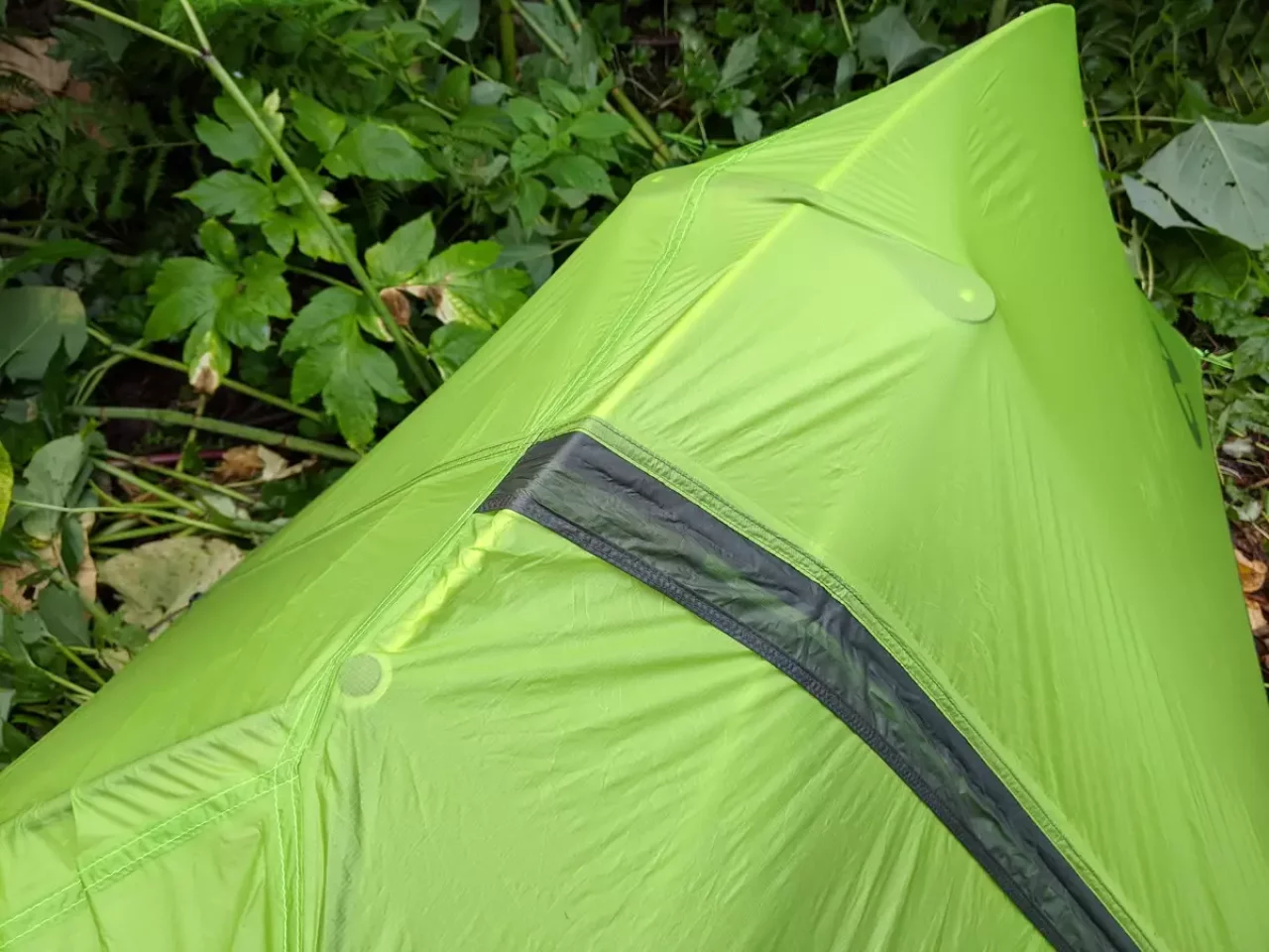 NEMOホーネットストーム 天井