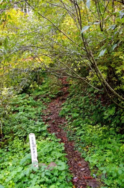 中荒沢・万年雪と紅葉登山2