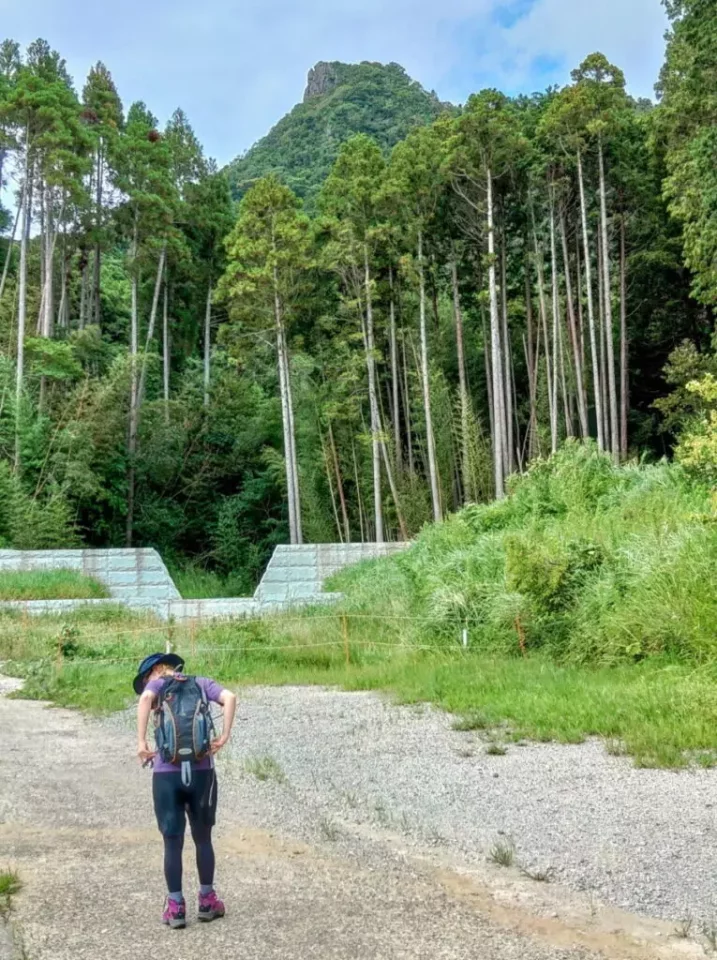 伊予ヶ岳 登山道