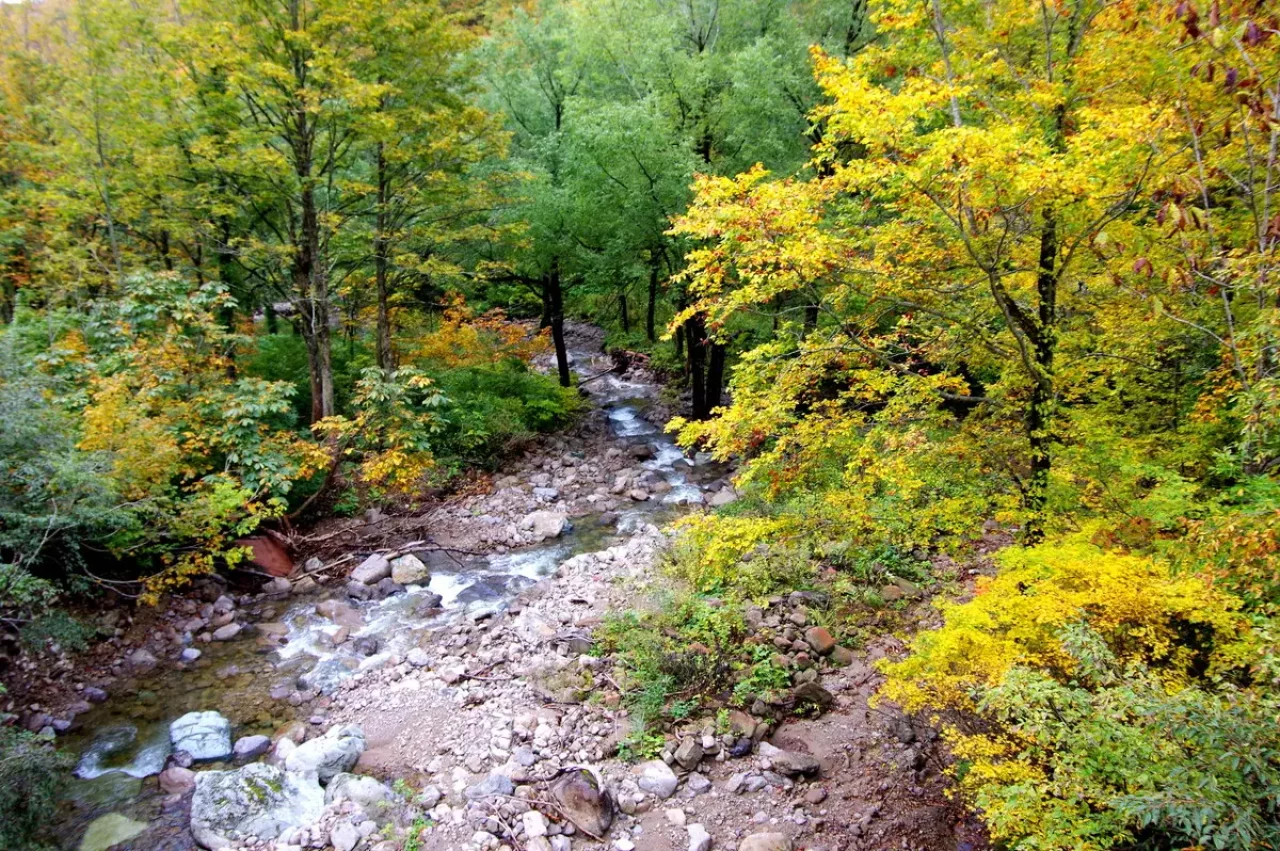 中荒沢・万年雪と紅葉登山3