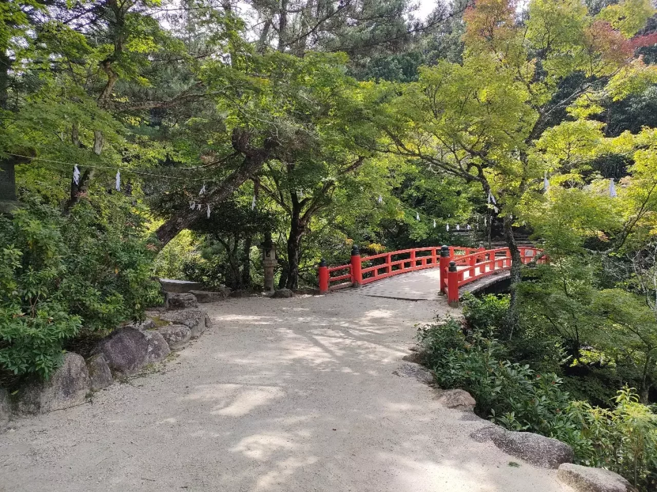 宮島の紅葉の魅力を写真で紹介