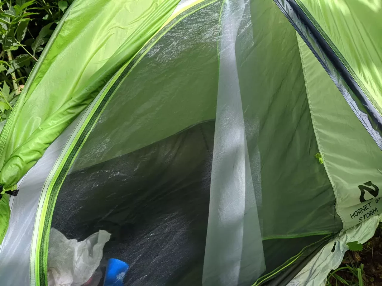 NEMOホーネットストーム 入り口