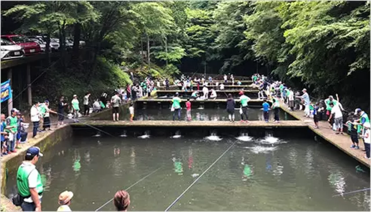 千早川マス釣り場