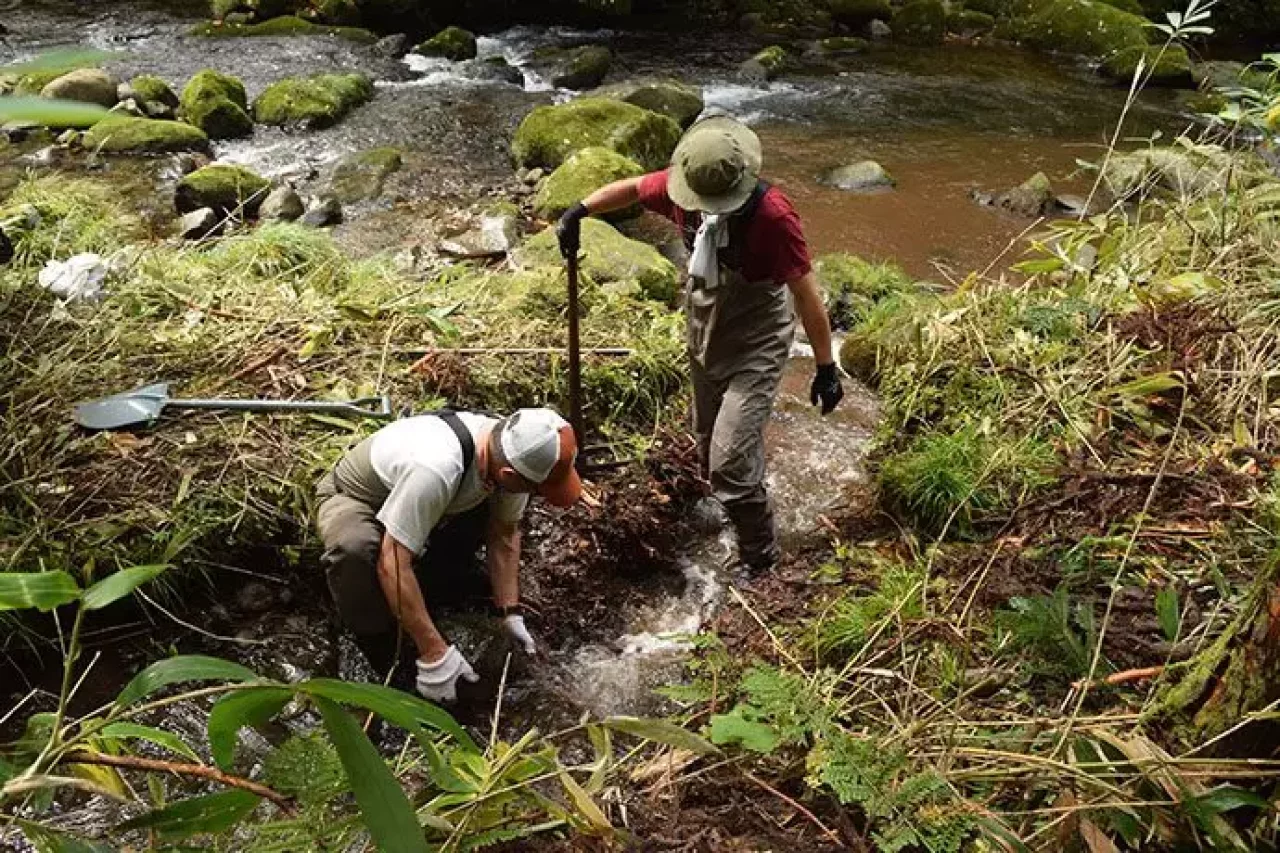 石徹白アウトドア