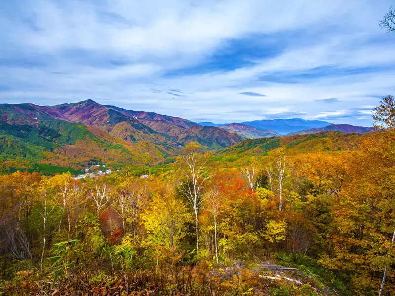 大川入山を望む蛇峠山