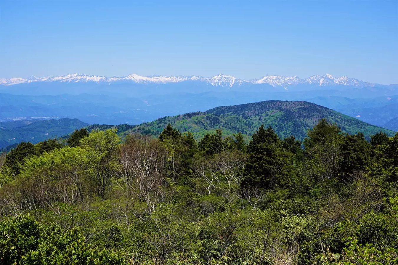位山 | 飛騨高山の霊峰!初心者も4シーズン楽しめる難易度別ルート紹介