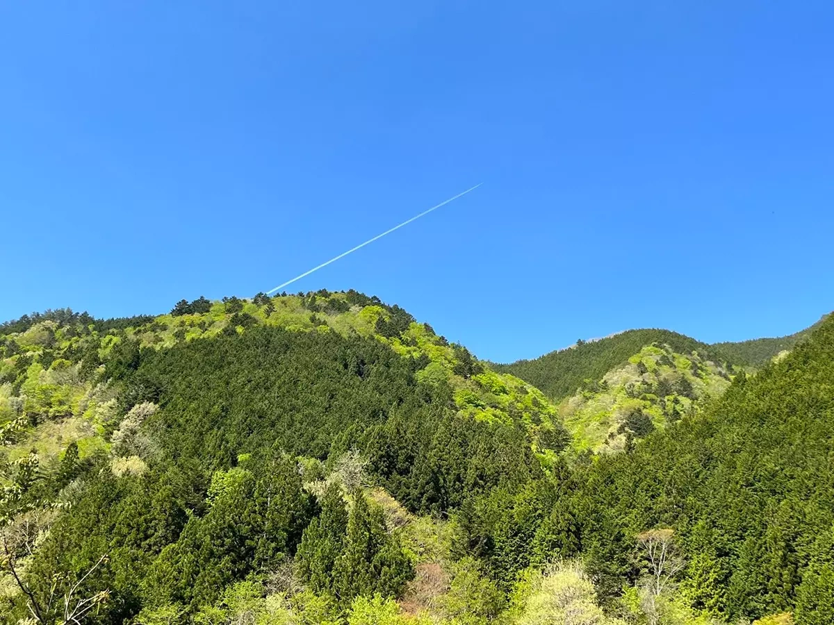 川上岳 | 難易度別の穴場コース4選! 賢い初心者が楽しめる南飛騨の東海百名山