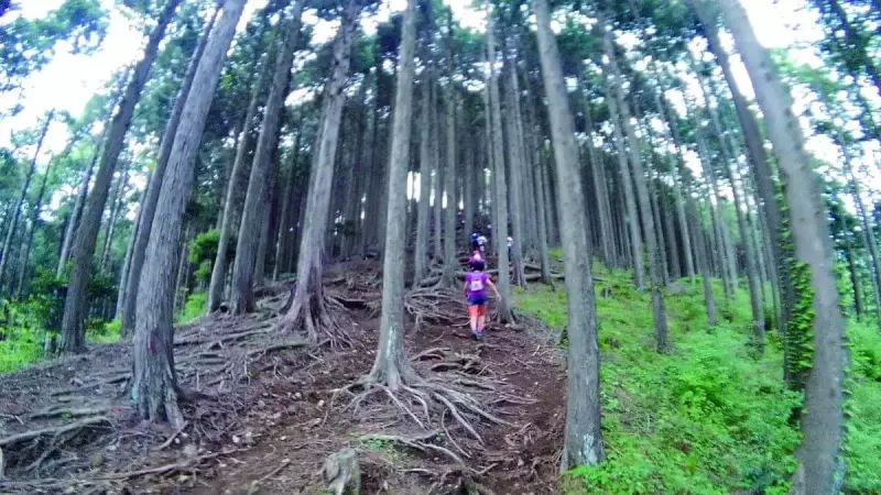 スマホ トルクtorque g03