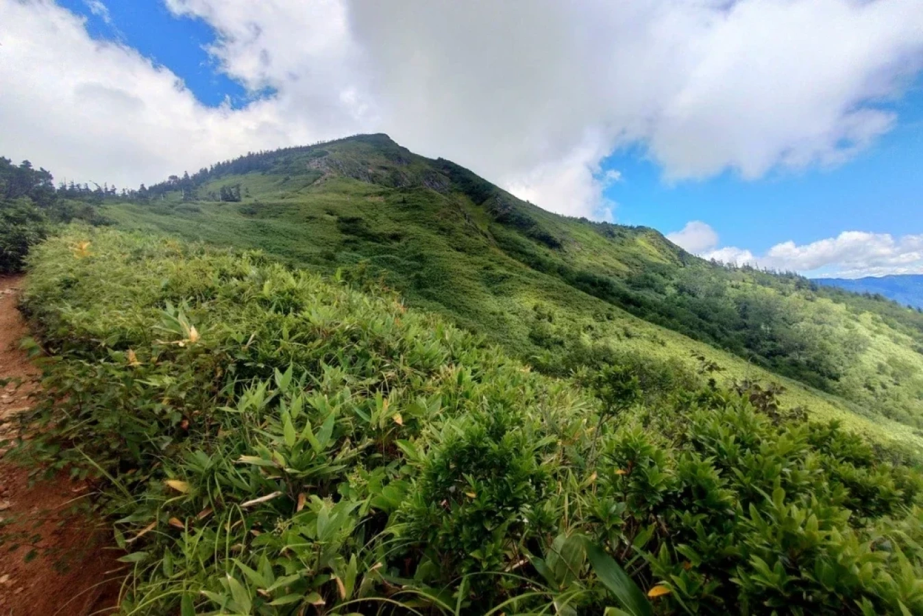 志賀高原 「岩菅山」は【涼のおもてなし】が最高、稜線と渓流に癒されます