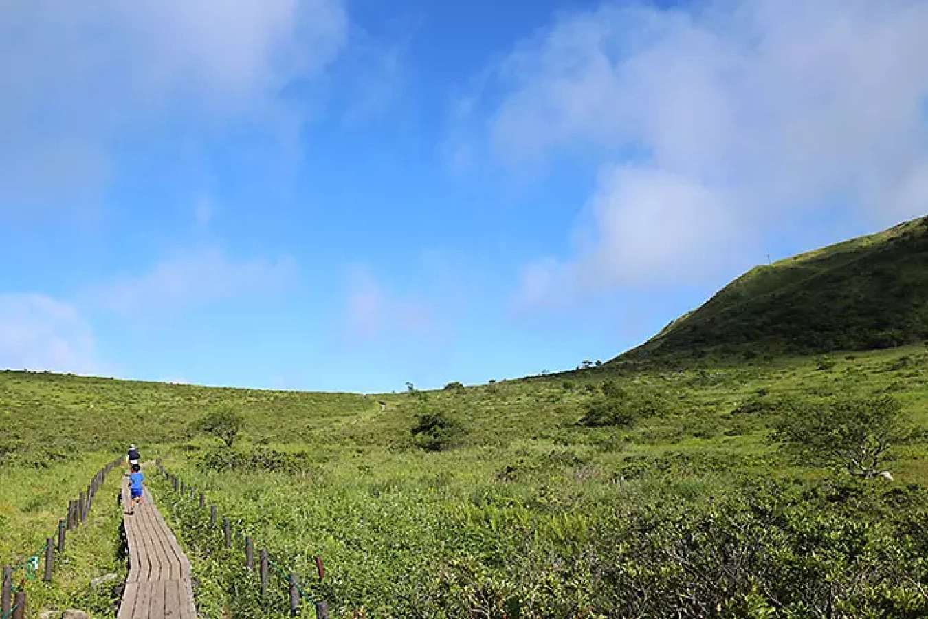 【日帰り登山】霧ヶ峰登山の難易度-初心者におすすめの周回コース