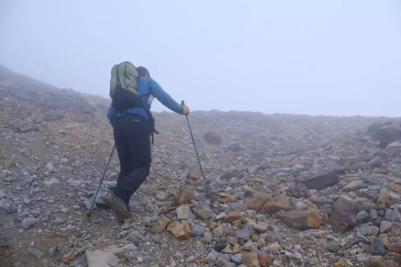 鍋割山 登山 トレッキングポール