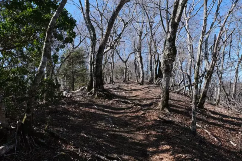 畦ヶ丸 登山 登山道