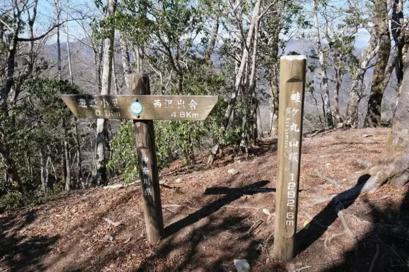 畦ヶ丸 登山 山頂