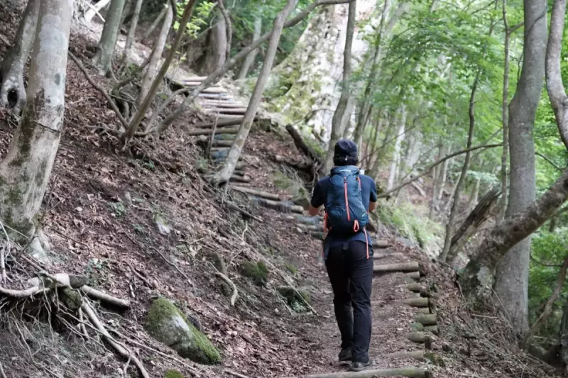 丹沢 大室山 加入道山 登山道