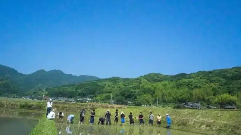 初夏の大分で田植えから始める酒作り体験