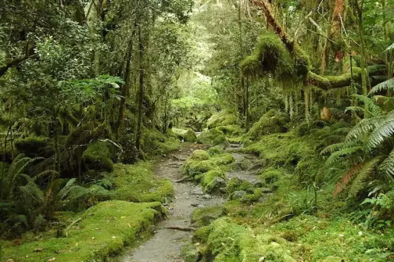milford-track-1371570-1279x850