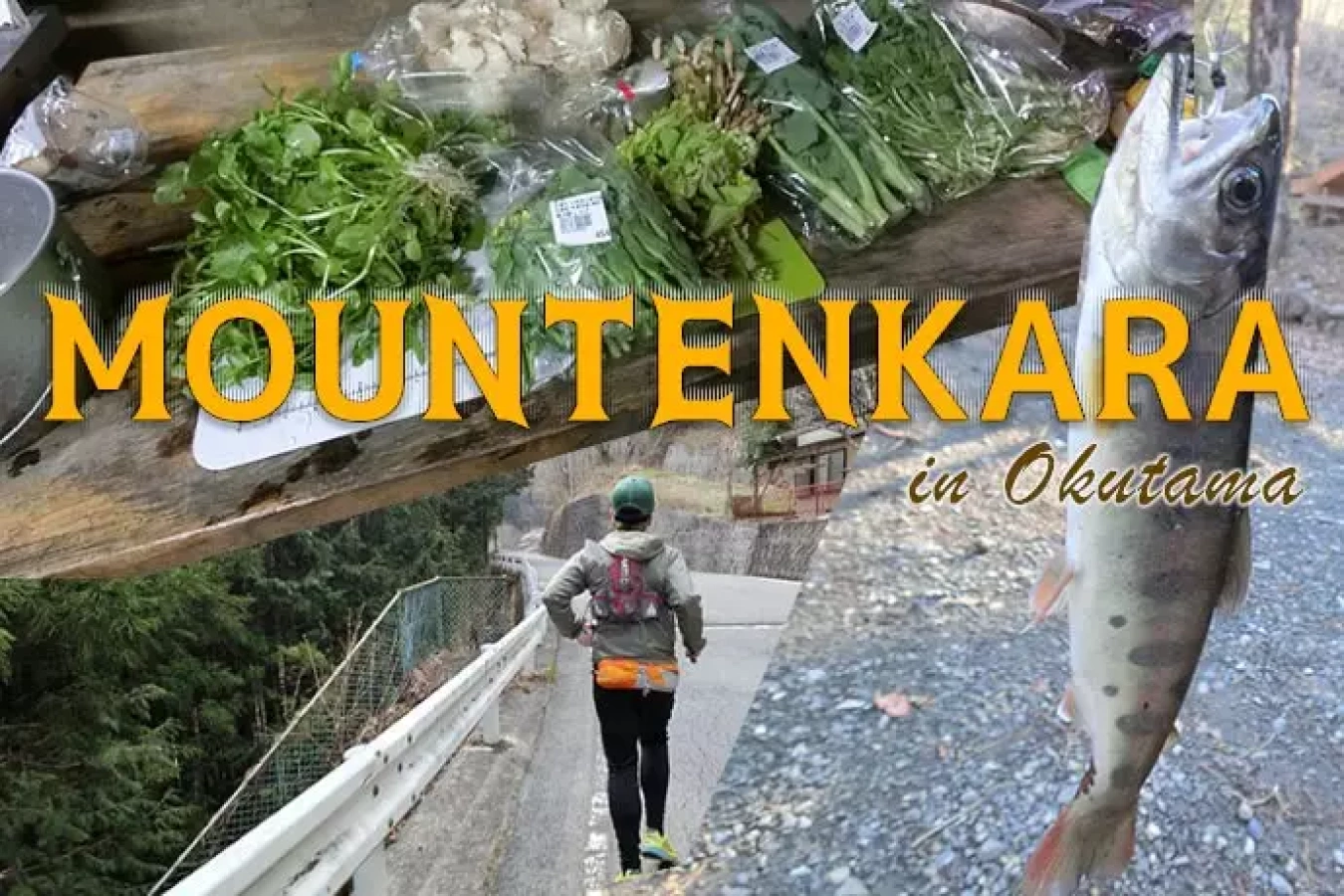 新たな楽しみを発見『マウンテンカラin奥多摩』