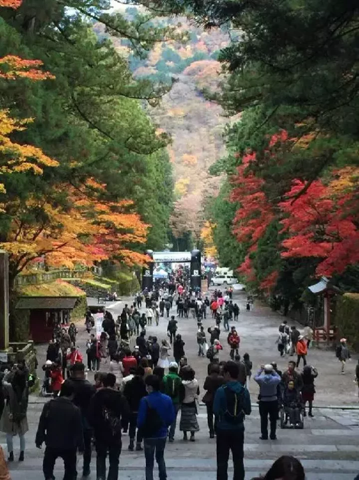 日光マウンテンランニング