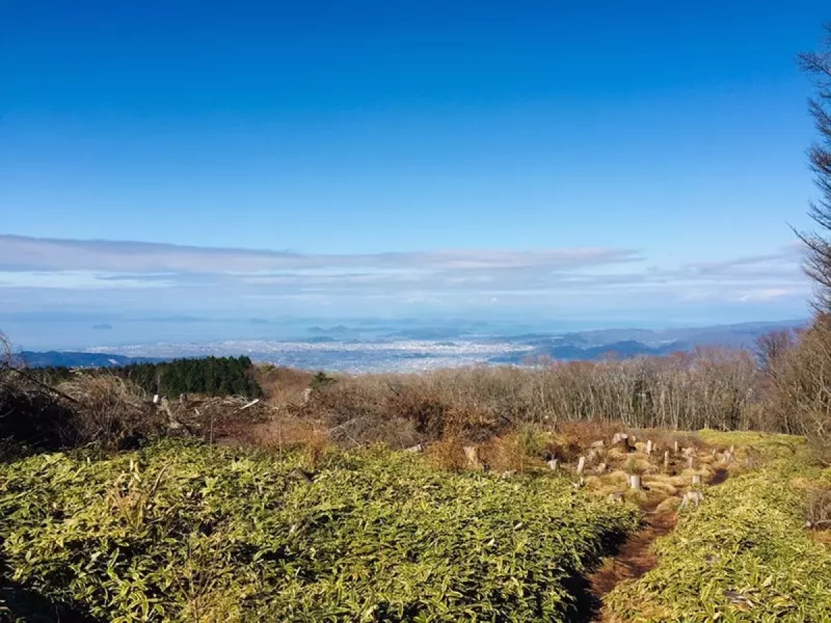 【日帰り】松山市内から1時間で行ける!皿ヶ嶺登山-難易度別ルートとアクセス、周辺スポットをご紹介