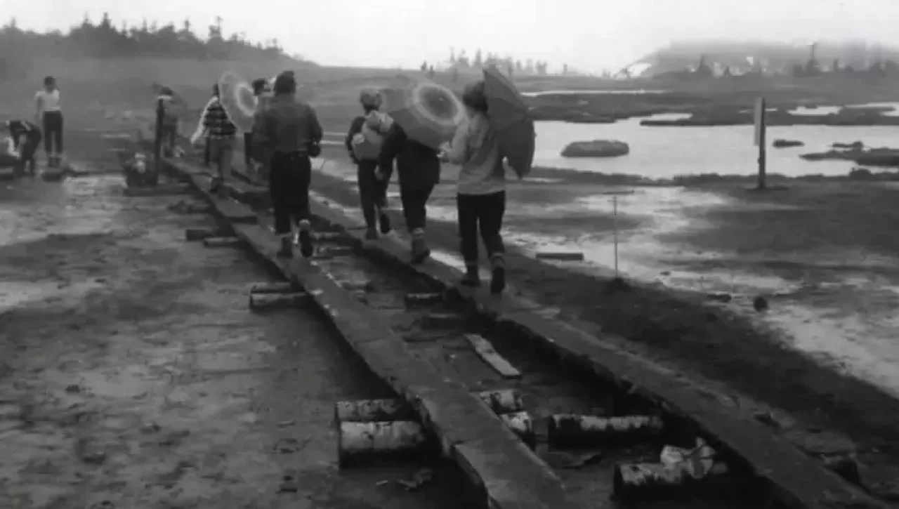 荒廃したアヤメ平