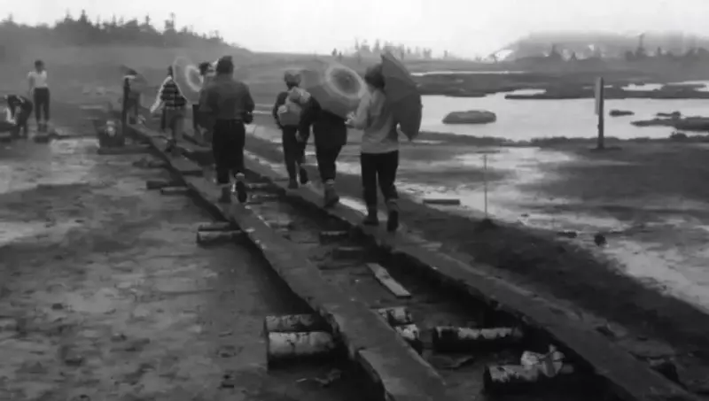 荒廃したアヤメ平