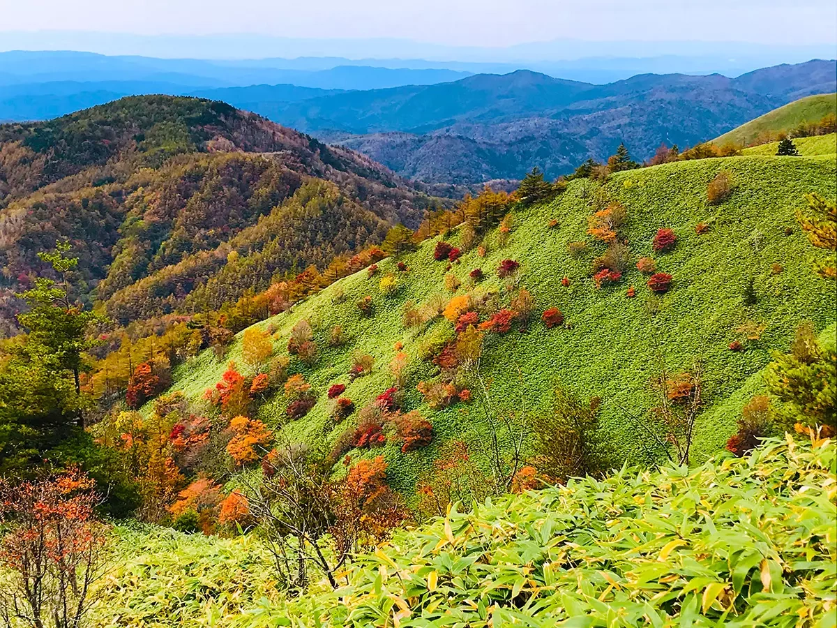【大川入山 】 羊の放牧が見える難易度別コース3選♨阿智セブンサミット