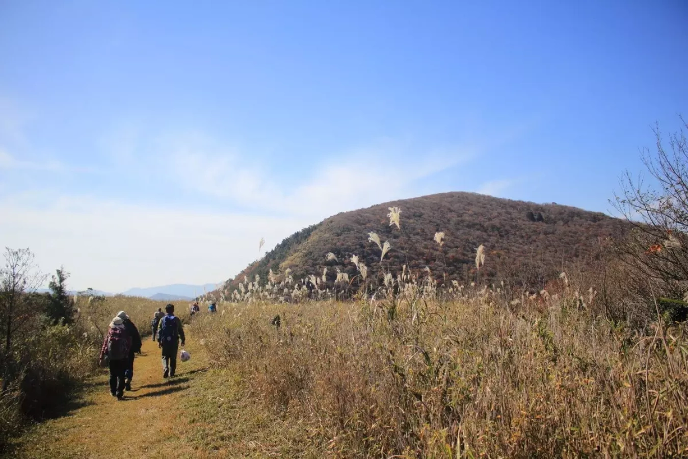 紅葉で色づく秋の大江山『初開催!2018 大江山連峰タイムトライアル』