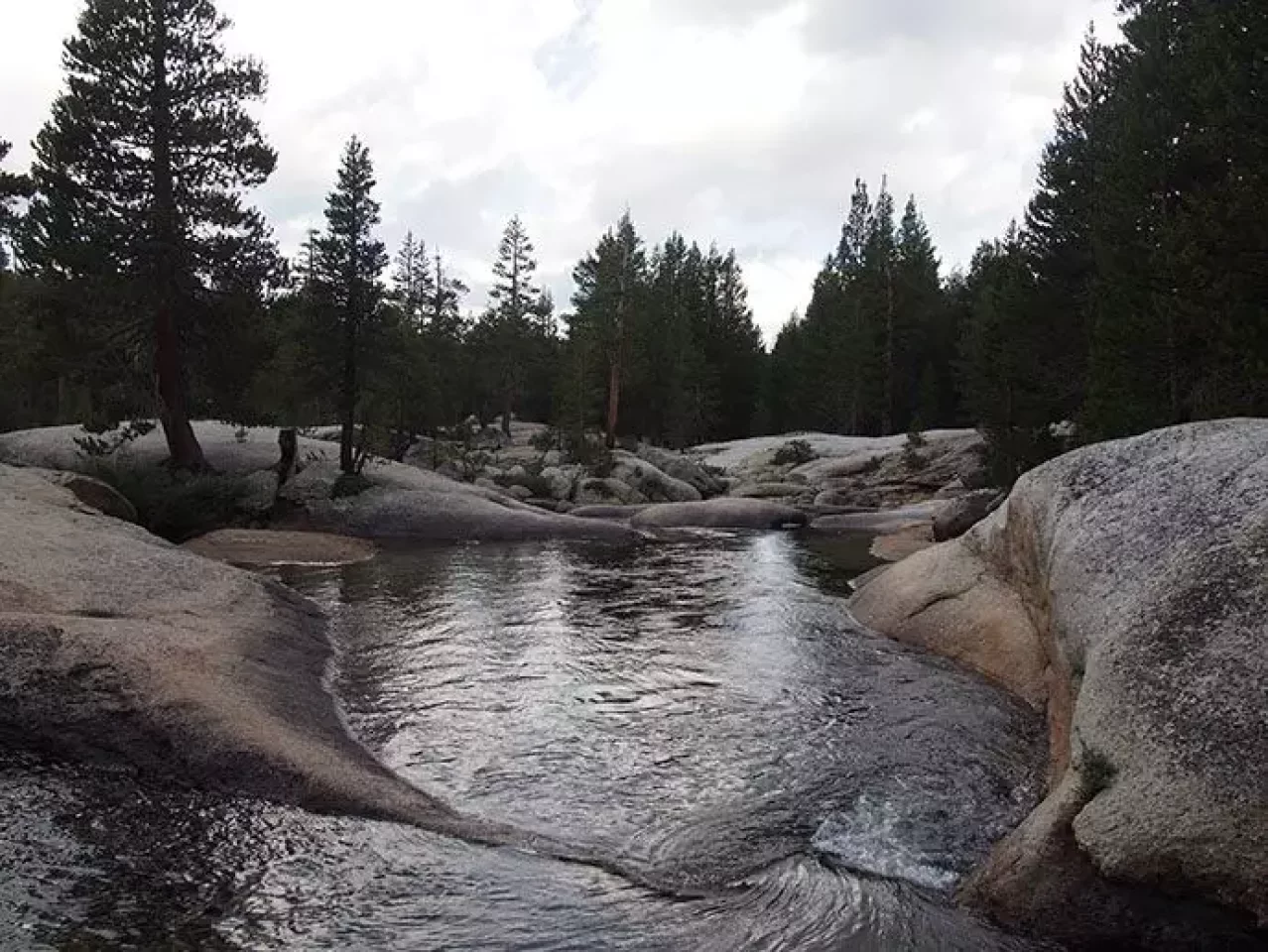 ジョンミューアトレイル