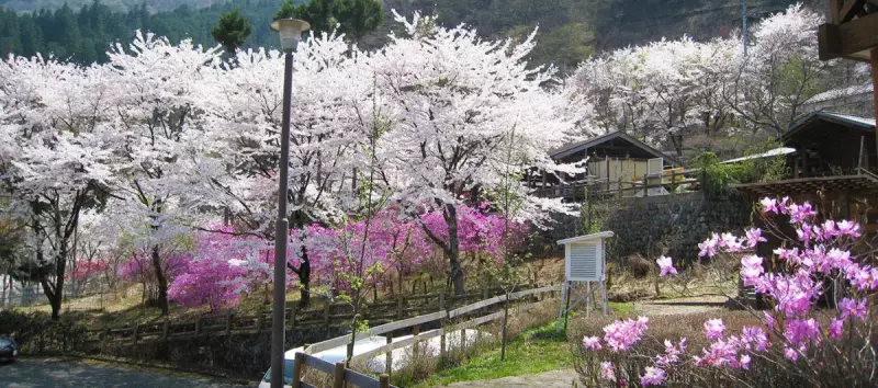 奥多摩都民の森