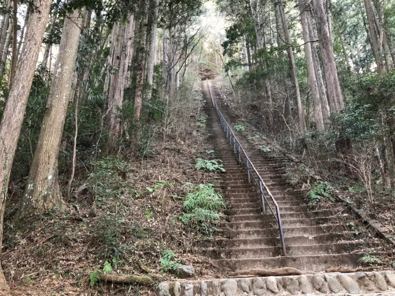 愛宕神社、長い石段