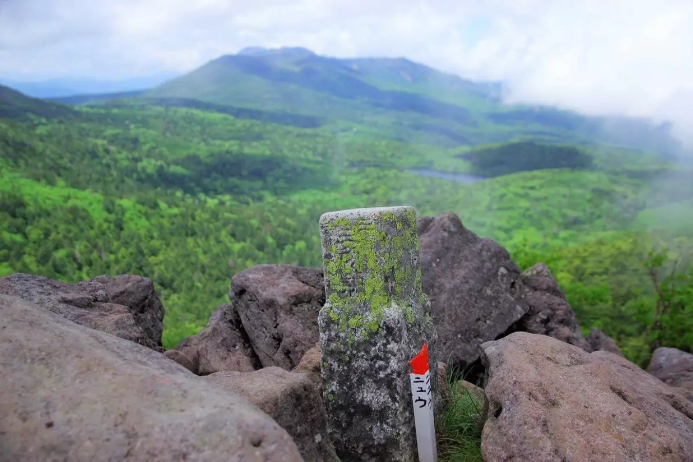 テーマで歩く山の旅 #16 梅雨の晴れ間に北八ヶ岳の樹林と水辺を狙う