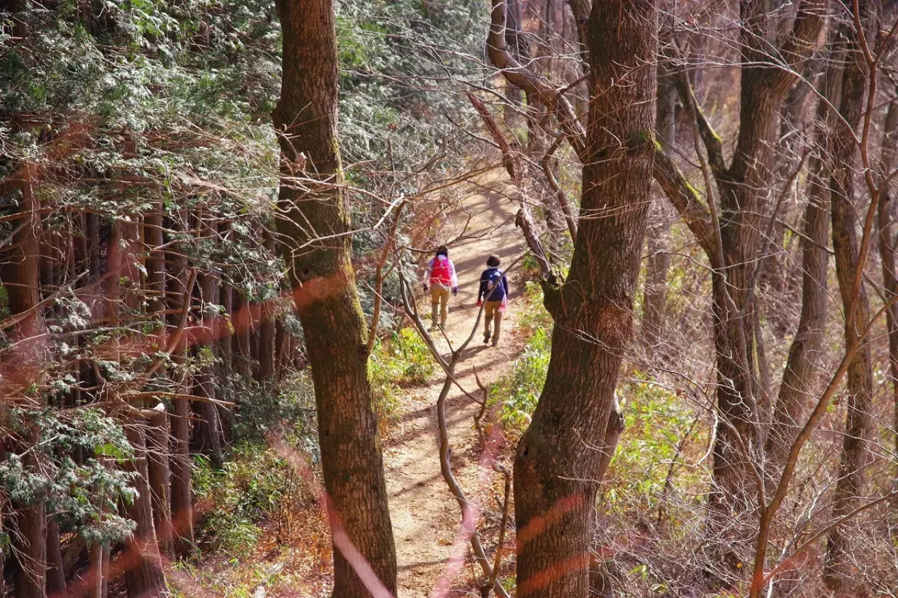 裏高尾の定番トレイル 低山縦走