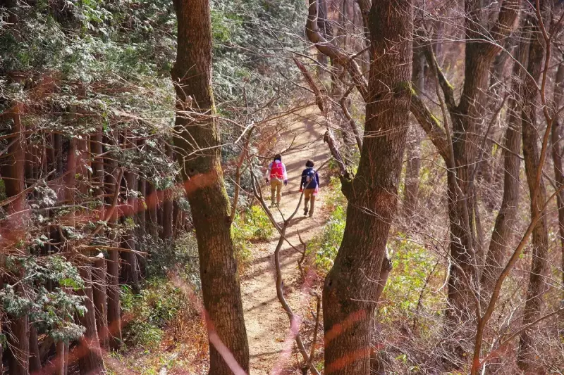 裏高尾の定番トレイル 低山縦走