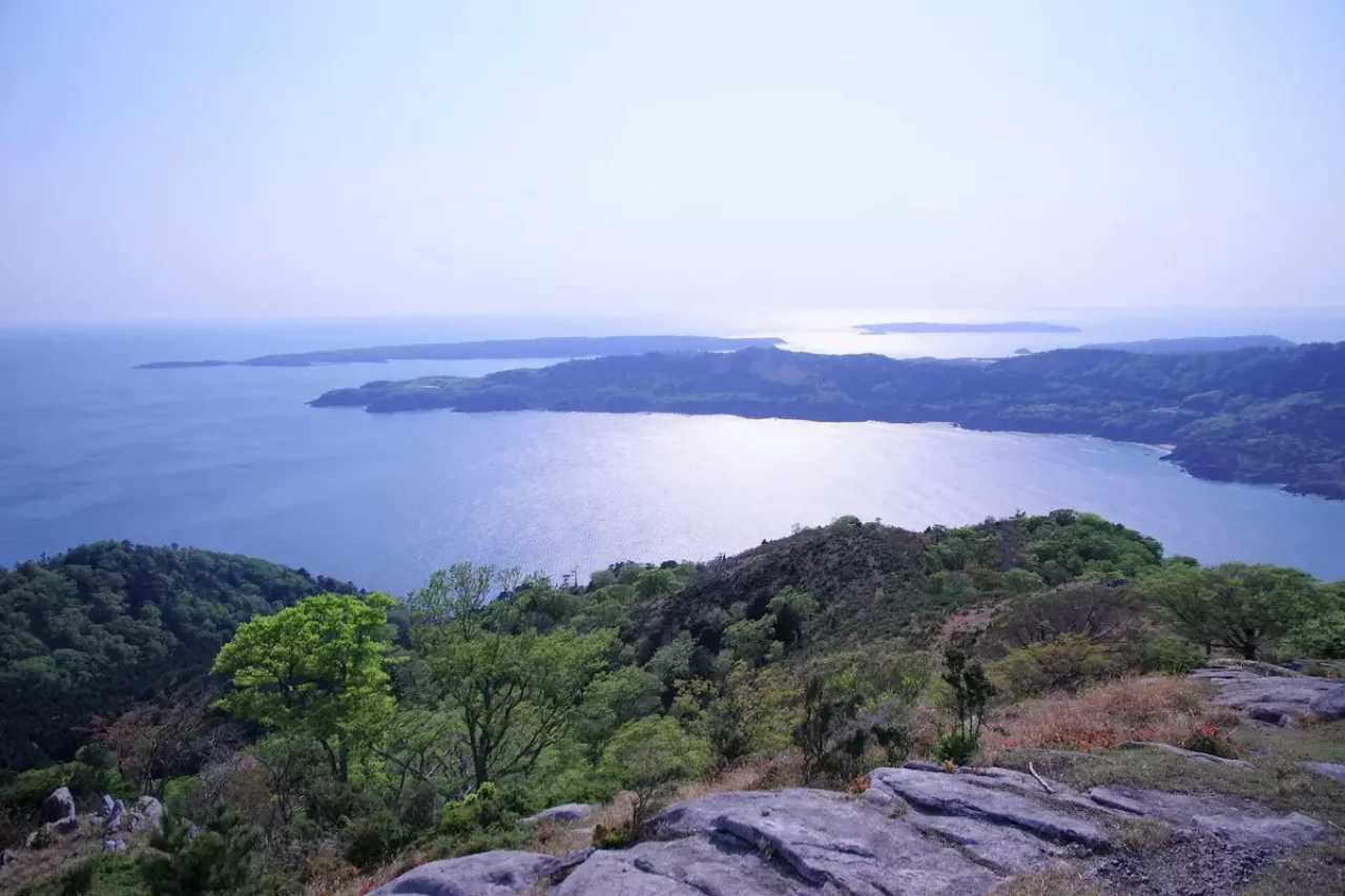 金華山の最高地点は445m