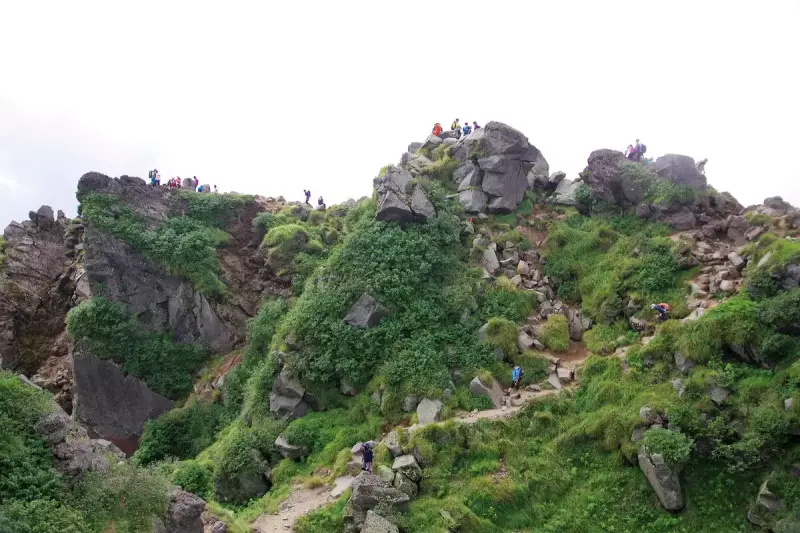 日光白根山 登山 景色