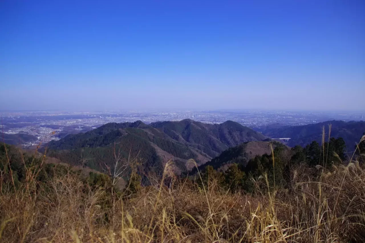 裏高尾の定番トレイル 低山縦走 陣馬山