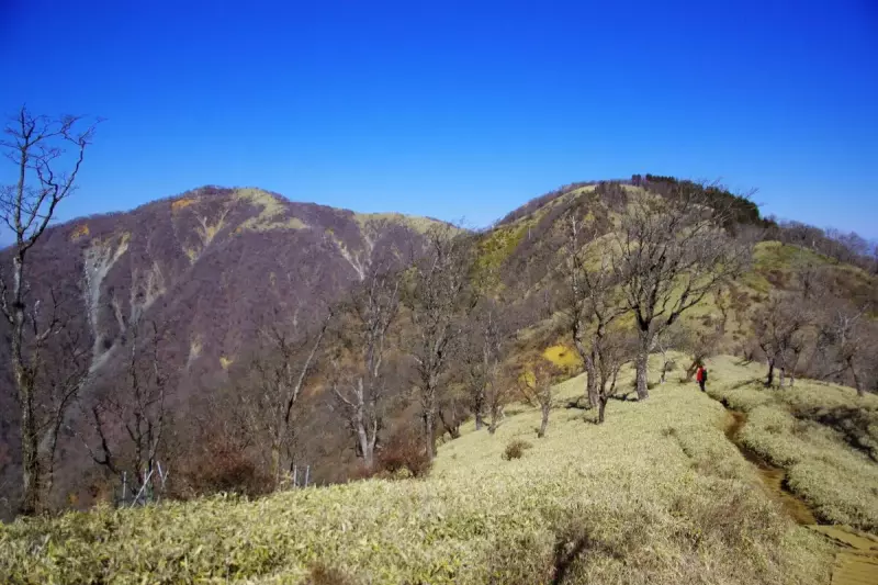 塔ノ岳と丹沢山をつなぐ登山道