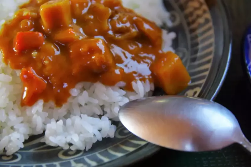 みやま山荘の食事 カレーライス