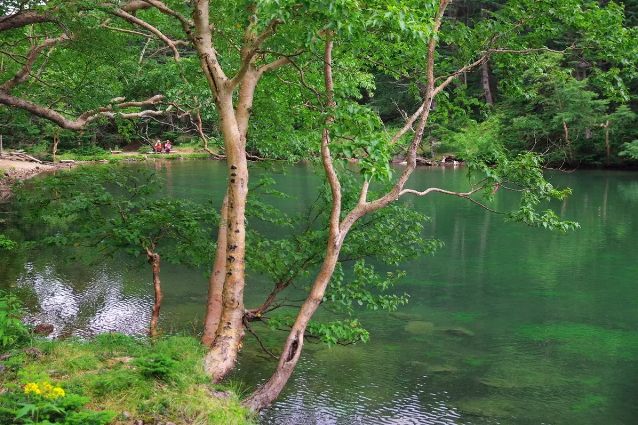 日光白根山 登山 景色 五色沼