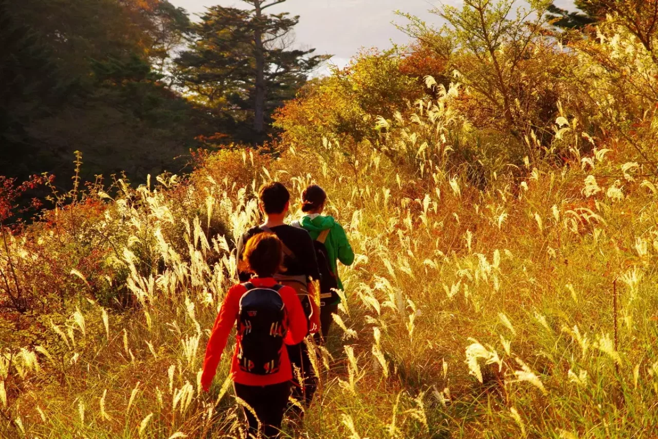 西日が島を黄金色に照らす11月