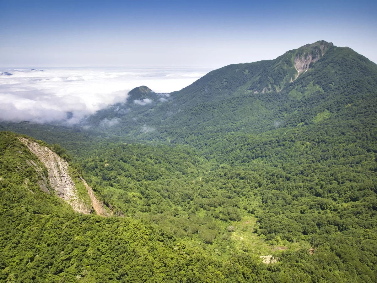 【名峰・雨飾山と日本海】絶景が広がる大渚山の難易度別登山コース紹介