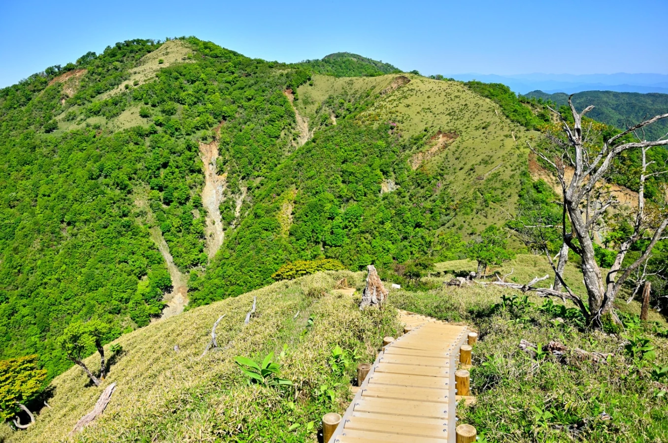 【関東】ゴールデンウィークの日帰り登山におすすめの山9選